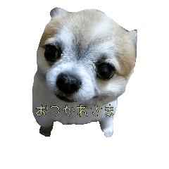 [LINEスタンプ] うっしーともっちの日常スタンプ