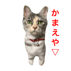 [LINEスタンプ] うーちゃんとみーちゃん1