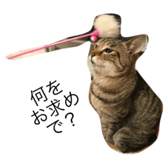 [LINEスタンプ] きもち