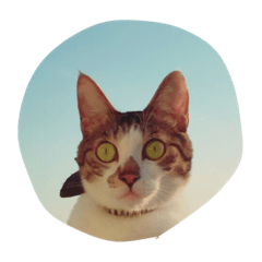 [LINEスタンプ] のい
