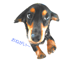 [LINEスタンプ] るるるん らららん