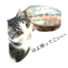 [LINEスタンプ] 目ヂカラ猫のくー