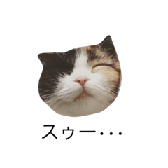 [LINEスタンプ] あんこともも