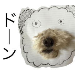 [LINEスタンプ] うちのいぬの日常