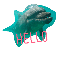 [LINEスタンプ] D.Dolphin