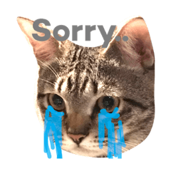 [LINEスタンプ] ネーーーコ
