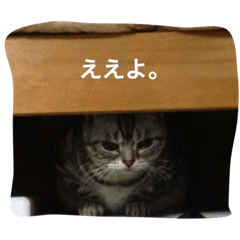 [LINEスタンプ] ねこ部
