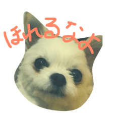 [LINEスタンプ] 桃太郎通信