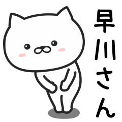 [LINEスタンプ] 早川さんが使うネコ