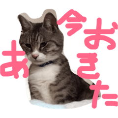 [LINEスタンプ] ラム氏の一日