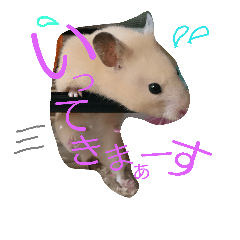 [LINEスタンプ] キンクマハムスターのkimochiすたんぷ2