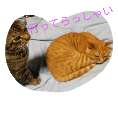 [LINEスタンプ] うりとにゃあ