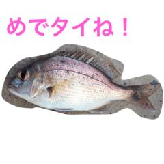 [LINEスタンプ] さかなスタ