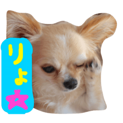 [LINEスタンプ] ぷーちゃんの日常の一コマ2