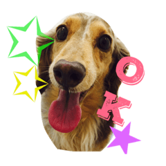 [LINEスタンプ] らぶだっくす