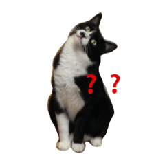 [LINEスタンプ] ジジとキキ