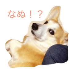 [LINEスタンプ] おにしの日常2
