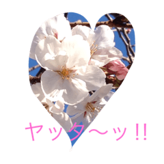 [LINEスタンプ] 花からの言葉