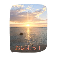 [LINEスタンプ] 使える言葉