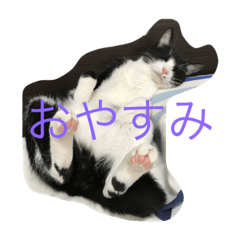 [LINEスタンプ] 猫パトロール