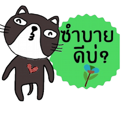 [LINEスタンプ] Meawmeaw in June (Esan Style)