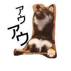 [LINEスタンプ] 黒芝犬 どん兵衛
