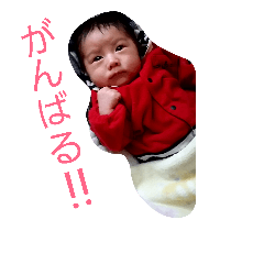 [LINEスタンプ] せいじゅくんのしぐさ