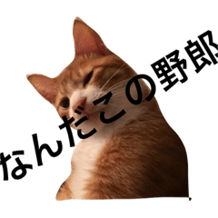 [LINEスタンプ] にこさんだよ