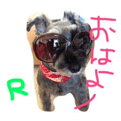 [LINEスタンプ] そらるいぽんの日常②