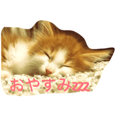 [LINEスタンプ] みりんとかりん