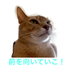 [LINEスタンプ] ポアロの気持ち