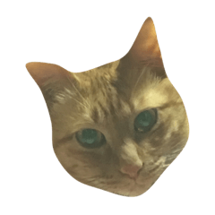 [LINEスタンプ] きよまさ倶楽部