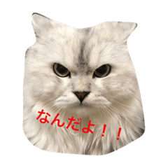 [LINEスタンプ] スジ男と姫子