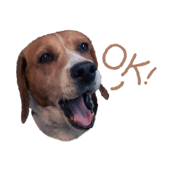 [LINEスタンプ] DoDo the Beagle！