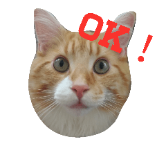 [LINEスタンプ] のほほん太っちょボーイズ
