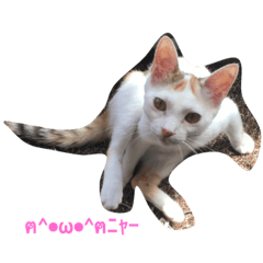 [LINEスタンプ] 我が家のアイドルたま