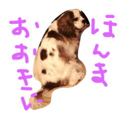 [LINEスタンプ] きゃばの写真