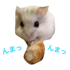 [LINEスタンプ] 白くて丸いハムスター 2