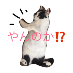 [LINEスタンプ] まるおたちたち