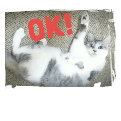 [LINEスタンプ] 猫の気持ち2