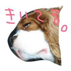 [LINEスタンプ] きゃばりあ