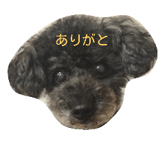 [LINEスタンプ] ちゃっくんのひとこと1