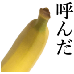 [LINEスタンプ] こんな、バナナ どうでしょう？
