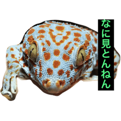 [LINEスタンプ] SU家族