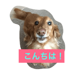 [LINEスタンプ] モコ！