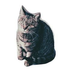[LINEスタンプ] にこ