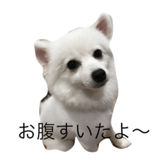 [LINEスタンプ] Wanko no Kimochi