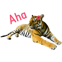 [LINEスタンプ] tiger kingdom