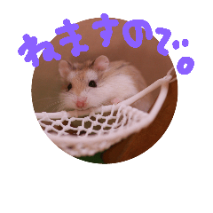 [LINEスタンプ] 毛玉スタンプ