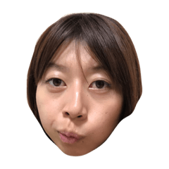 [LINEスタンプ] JOTOいつもの使えるスタンプ